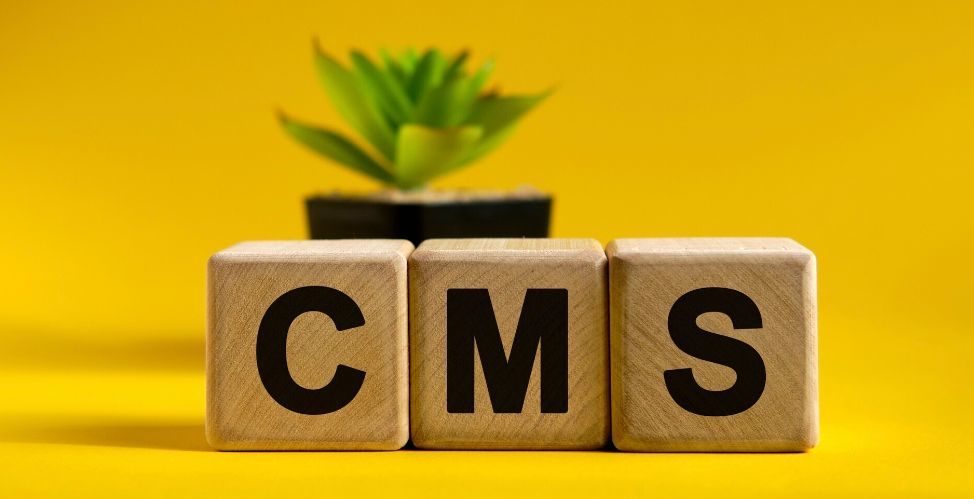 top cms platforms