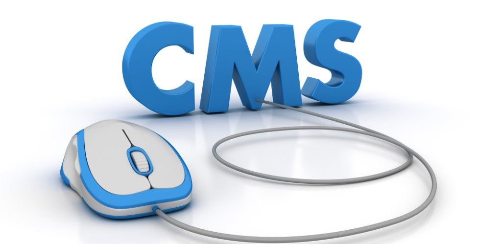 top cms platforms